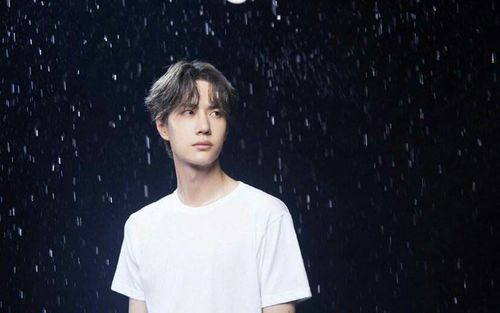 陈情令难道就只是回忆