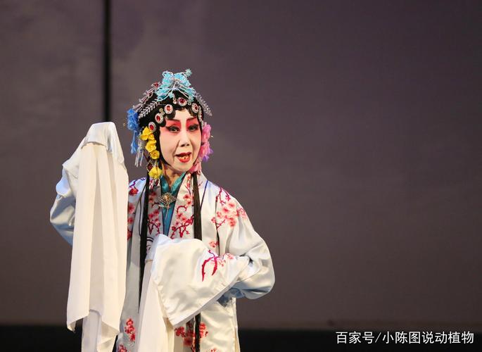 七旬老人从艺京剧61载,桃李满天下,师从京剧大师尚小云