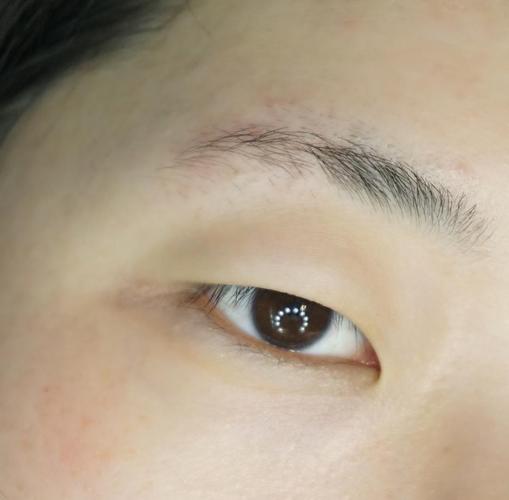 肿泡眼单眼皮假睫毛妆容压箱底心得和步骤