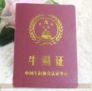 2013创意男女生日礼物定制奖状搞笑证书批发书证趣味新奇牛逼证