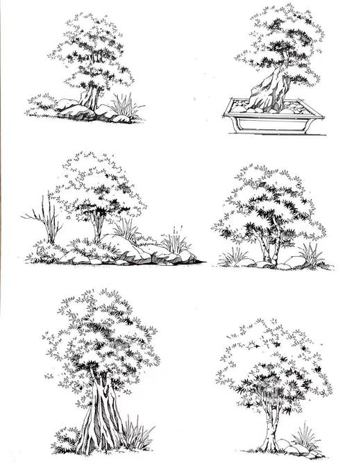 快题画腻了,换换换植物来画画吧_绘画_考研_风景_园林_手绘_风景园林