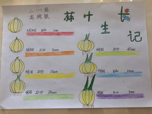 除了书上的记录表可以看出我的结论,大家还可以看一