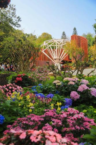 2021深圳最大花展来了!7.1万㎡花海,最全攻略