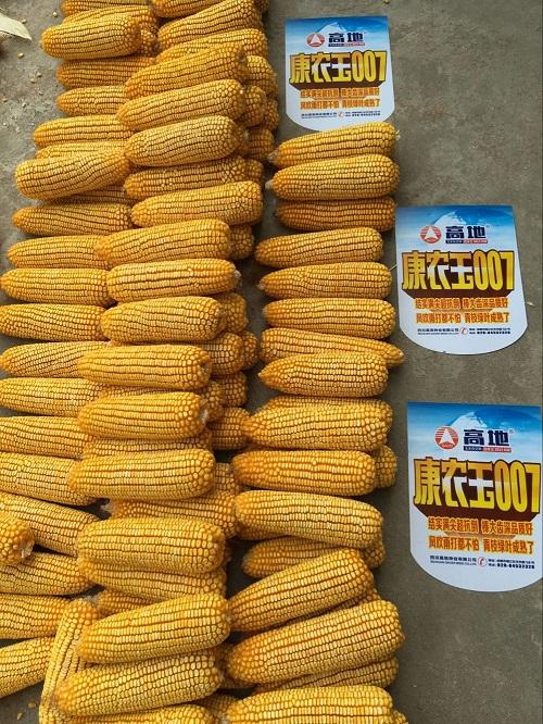 初审意见:该品种符合国家玉米品种审定标准,通过初审.