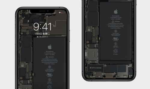 原创iphone12拆机壁纸来了换上试试