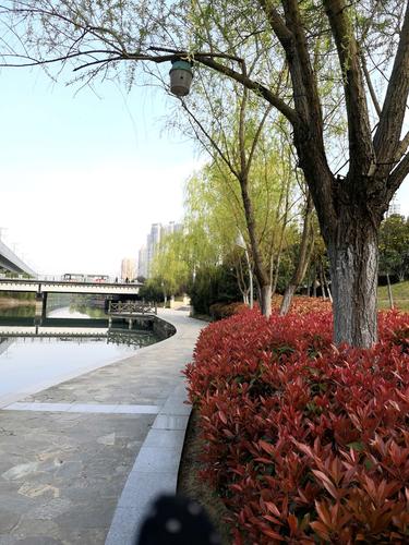 合肥匡河公园