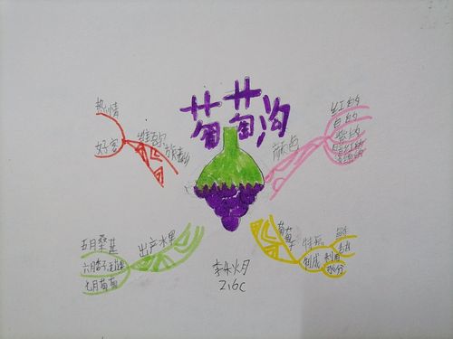 南二小二年级六班《葡萄沟》思维导图作业展示