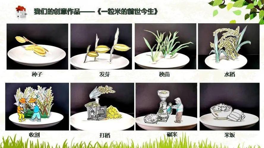 一粒米的前世今生