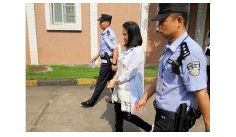 59岁老赖整容成少女:欠2500万不还失踪 警察千里追踪将其抓获拘留