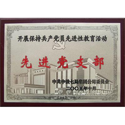 先进党支部奖牌