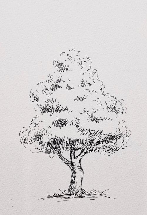 不会画树的同学们可以参考参考qwq