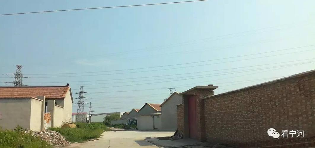 宁河区的这个村真棒!道路宽阔,而且还有小桥流水