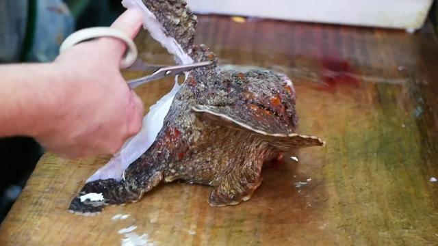 花300元买的"石头鱼",硬邦邦像石头,肉却比豆腐嫩,炖汤好鲜