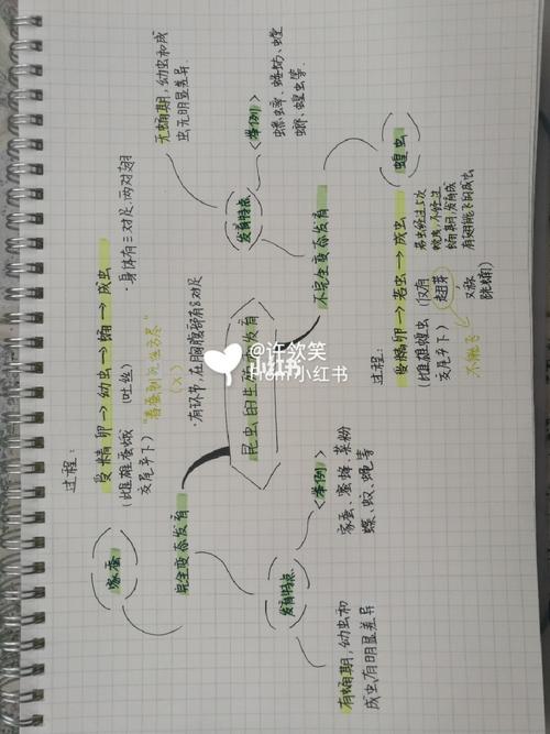 96思维导图|《水浒传》|生物|_思维导图_文案_拼图