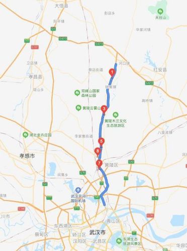 武大高速加快建设,设机场,滨湖两大支线,助力武汉临空