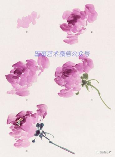 图文教程:牡丹画法步骤与示例