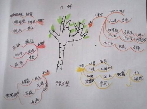 四年四班《白桦》思维导图集