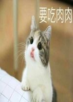 给钱我要吃肉肉猫咪表情包