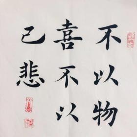 手写书法 不以物喜 不以己悲 35cm