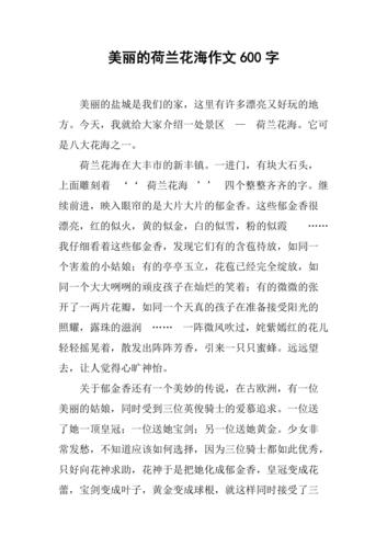 美丽的荷兰花海作文600字