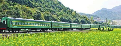 那些年坐过的火车