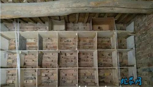 鸽子窝图片简易鸽子窝图片鸽子窝图片造型奇特的鸽子窝鸽子窝图片