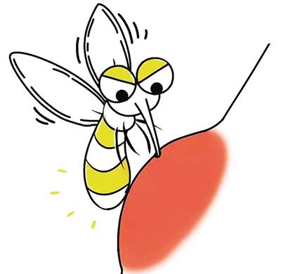 库蚊:"邋遢王"   俗称家蚊,室内最为常见的蚊子,喜欢在夜间咬人吸血