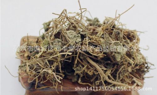 供应中药材积雪草铜钱草崩大碗缺碗草马蹄草雷公根一斤