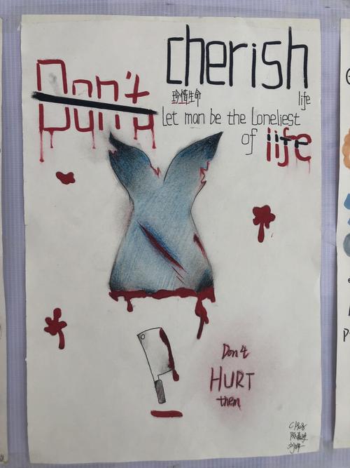 七年级"保护动物"英语海报展