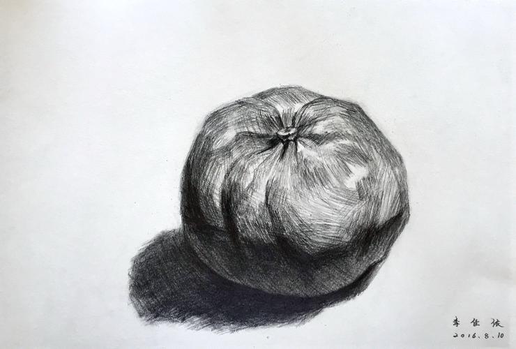 素描静物#     单体橘子