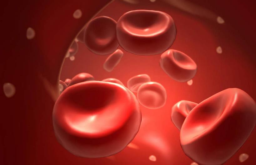 插画,室内,白天,白色背景,正面,数码,科技,静物,阴影,网络,医学,细胞