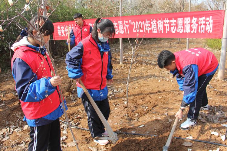 美化校园——泰安长城中学 开展2021年植树节劳动实践活动 写美篇