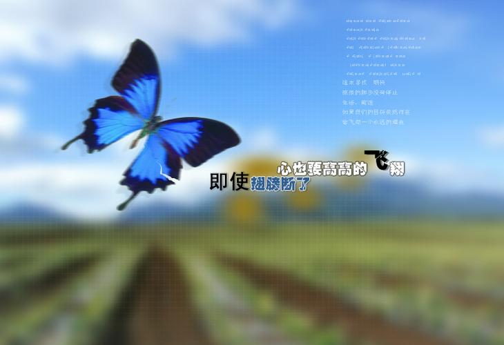 想飞的纸蝴蝶
