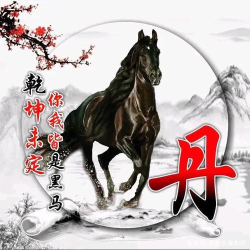 乾坤未定,你我皆是黑马