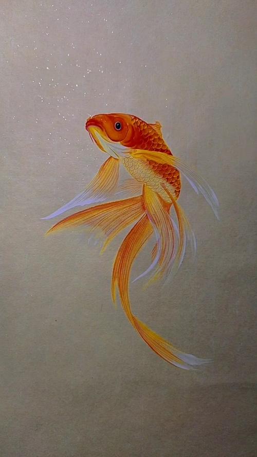 徐伯逸书画画一条英姿飒爽的金鱼
