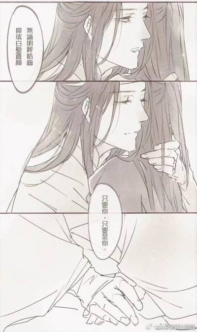 《魔道祖师》 魏婴 蓝湛 忘羡