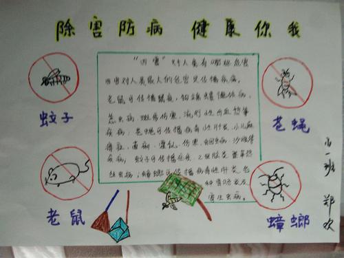 小一班"防四害"手抄报主题活动!