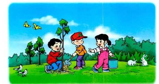 植树节看图写话