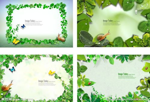 绿色背景边框图片