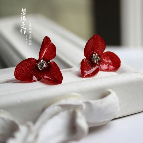 森林系保鲜花耳环天然干花永生花耳钉