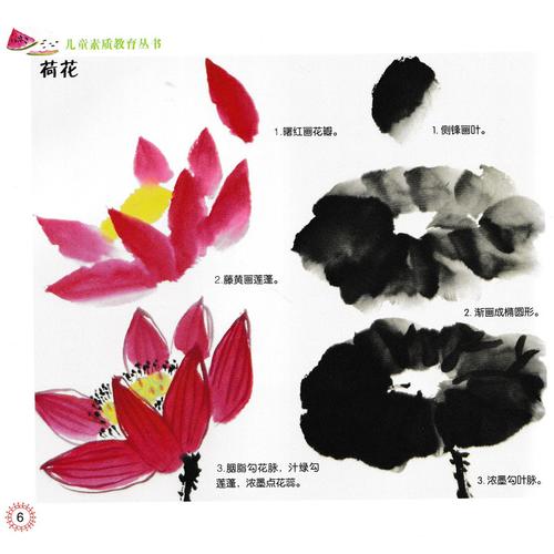 初学国画基础入门教程幼儿起步启蒙国画水墨画美术培训版教程荷花金鱼