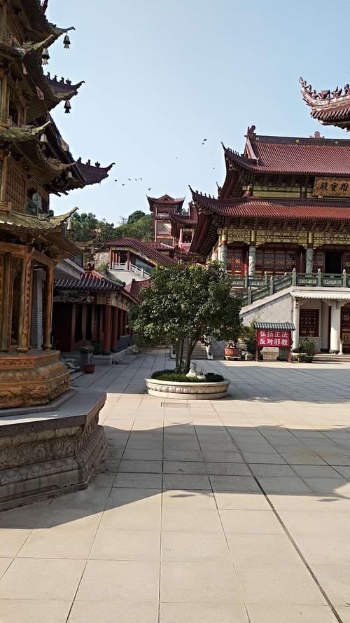 福鼎青莲寺值得一游