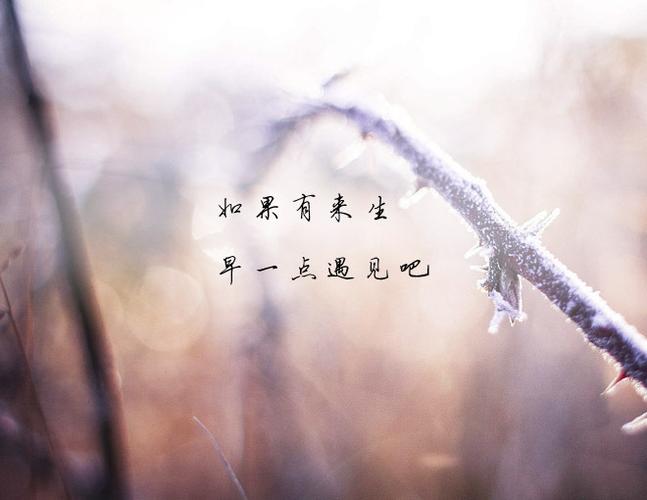 如果有来生,早一点遇见吧