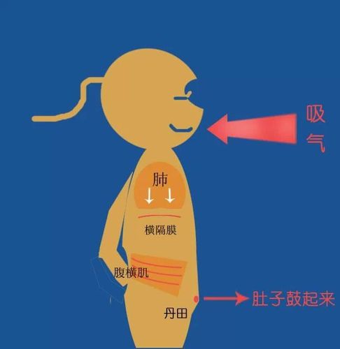 张孟龙58 太极拳小文章       「丹田的鼓荡」已经进入「丹田呼吸法」