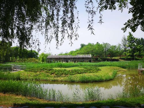 写美篇 西安浐灞国家湿地公园位于灞河与渭河交汇口区域,毗邻泾渭湿地