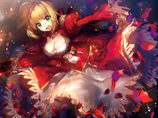 fate extra/ccc/fate grand order 赤saber 尼禄