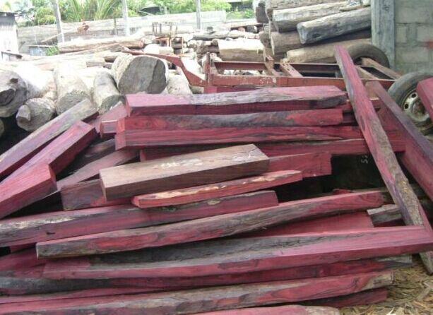 出售大叶紫檀原木