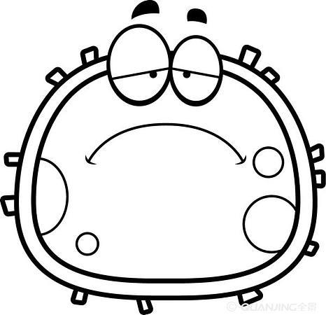 红细胞简笔画教程