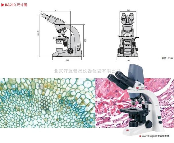 现货供应:麦克奥迪-生物显微镜(ba210)