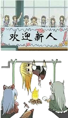 欢迎新人表情包合集:新人进群必备(全版)!